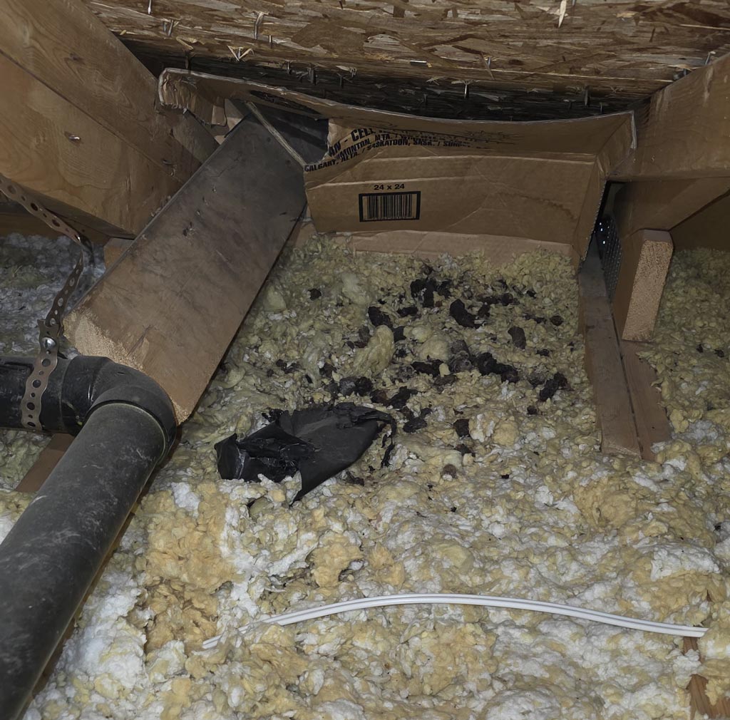 Attic insulation removal