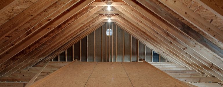 Mold free attic hero 768x299